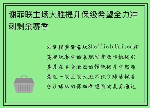 谢菲联主场大胜提升保级希望全力冲刺剩余赛季